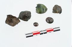 Foto von Bronzeknopf (NHMW-PRAE-026086)